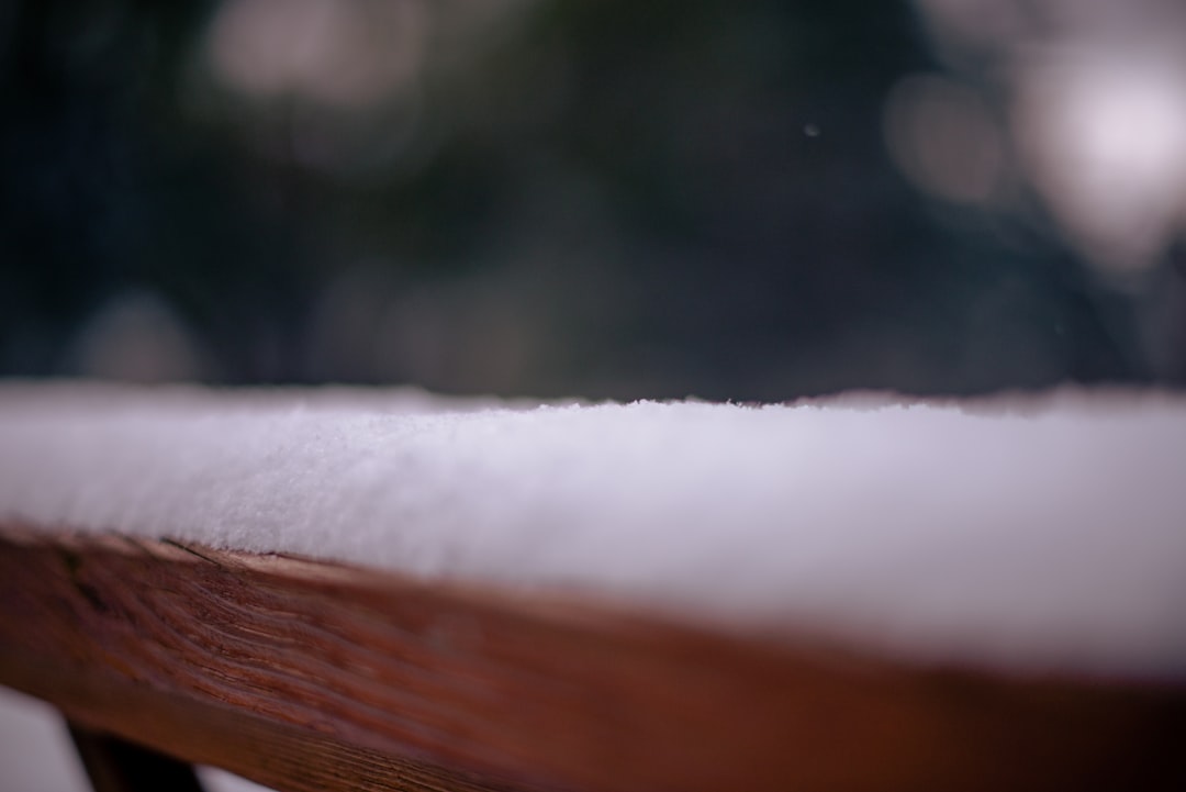 Mit dem richtigen Schnitt bleibt Ziersalbei schön und kräftig