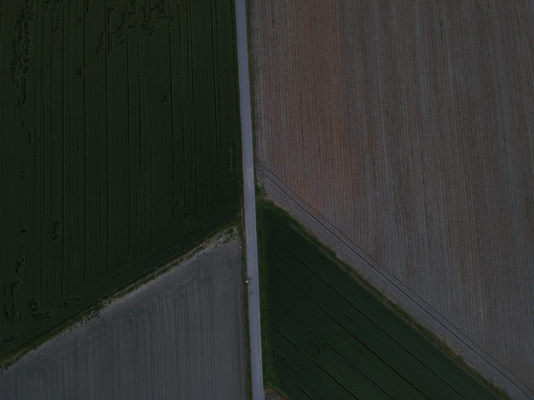 Gartenwege gestalten: Einfache Ideen für schöne Wege im Garten