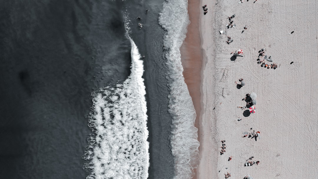 Astilbe kombinieren: Farbenpracht und Vielfalt im Garten