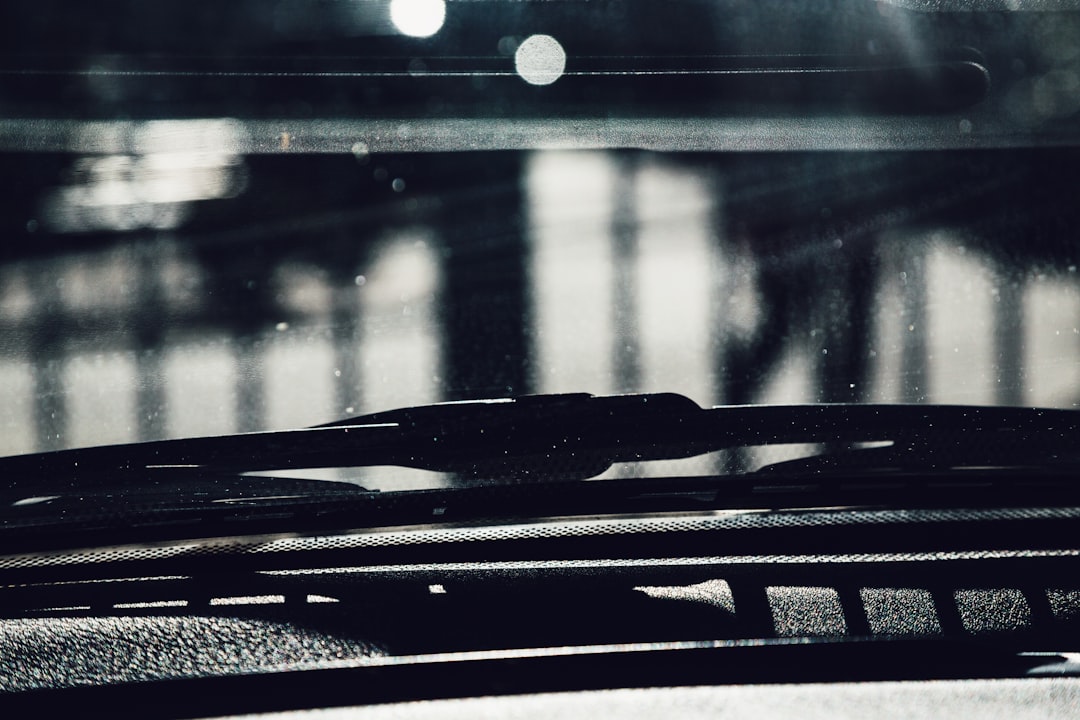 Ambrosia: Eine Pflanze verursacht Probleme für viele Menschen