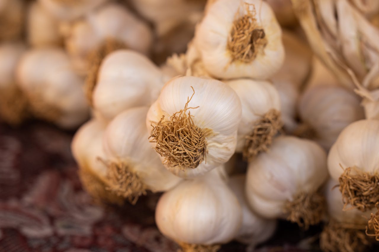 Knoblauch pflanzen: Frischer Genuss aus dem eigenen Garten
